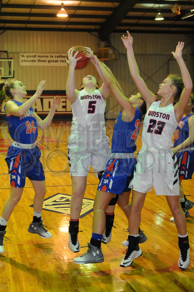 1-30-17 WA vs. SA 173.JPG